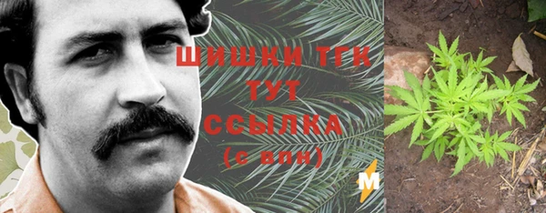 ГАЛЛЮЦИНОГЕННЫЕ ГРИБЫ Балахна