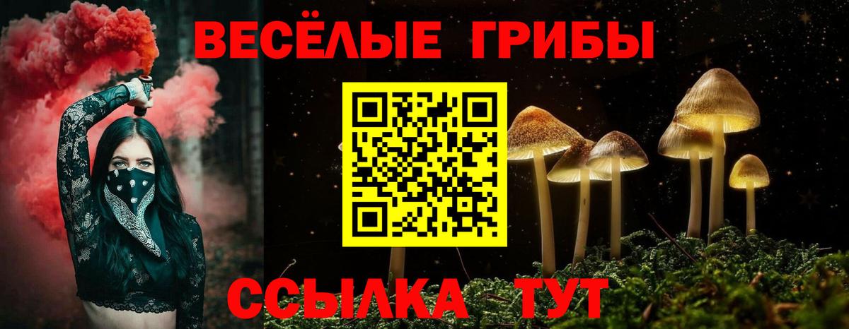 Галлюциногенные грибы Psilocybe  Псилоцибиновые грибы прущие грибы  Вход с VPN  Барабинск 